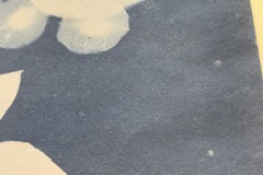 IMG-6233