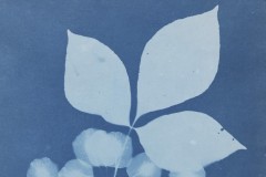 1983_24