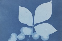 1983_24