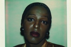 2008_7_102
