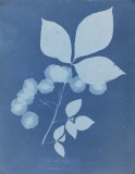 1983_24